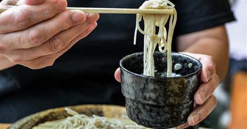 名古屋の庄内川でカブトムシ採集