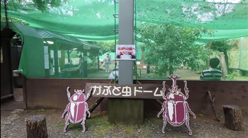 和歌山のカブトムシ、クワガタ採集ポイント