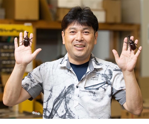 哀川翔のカブトムシ工場とは?