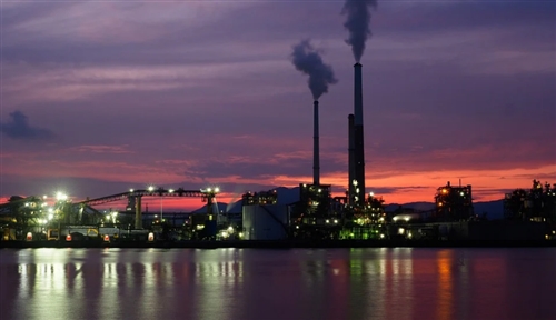 山口県のカブトムシ・クワガタ採集ポイント