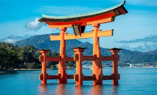 広島のカブトムシ、クワガタ採集ポイント