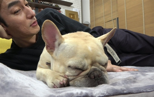 愛媛県のカブトムシ、クワガタ採集ポイント