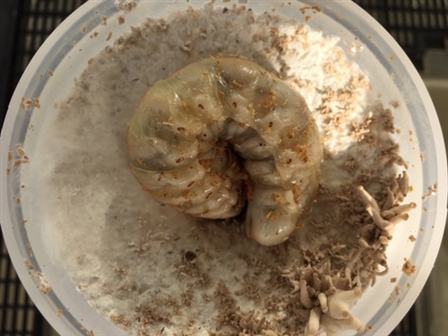 ブログvol.811〜820