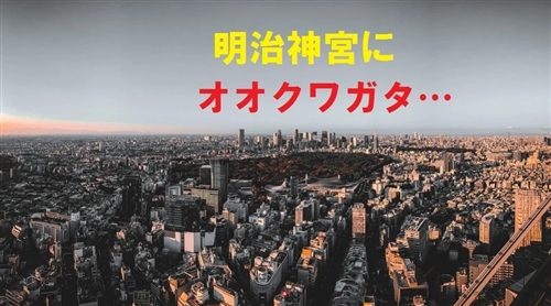 明治神宮のカブトムシとクワガタ