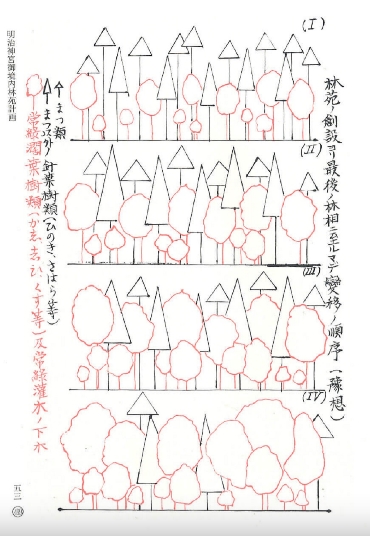 明治神宮のカブトムシとクワガタ