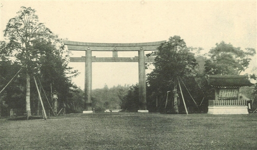 明治神宮のカブトムシとクワガタ