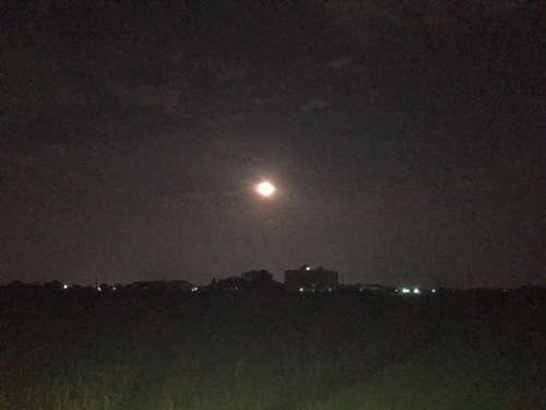 ブログvol.751〜760