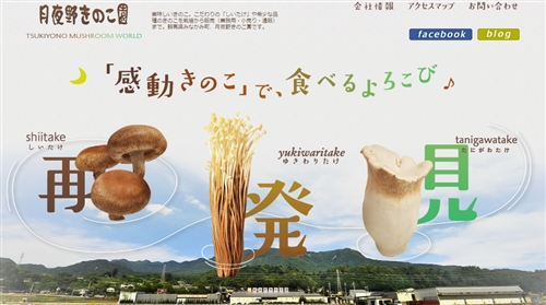 菌糸ビンおすすめランキング