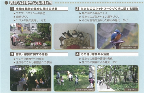 皇居のカブトムシ・クワガタ採集結果