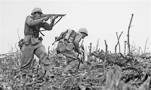 沖縄県のカブトムシ、クワガタ採集ポイント