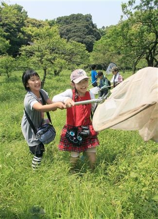 皇居のカブトムシとクワガタは?