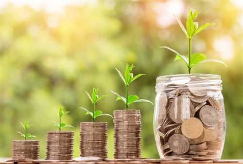 小間社長のカブトムシマットが凄いことに・・・