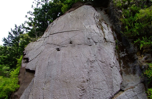 安住紳一郎縁の群馬県神流町でクワガタ採集