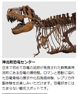 オオクワガタの材割採集。群馬県と埼玉県