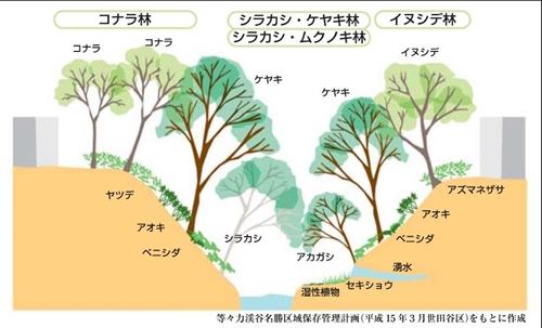 カブトムシ採集 関東 等々力渓谷
