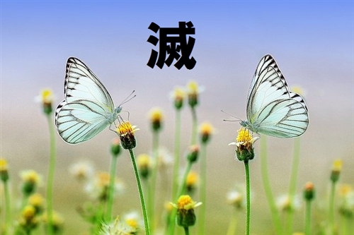 カブトムシ採集 関東 等々力渓谷