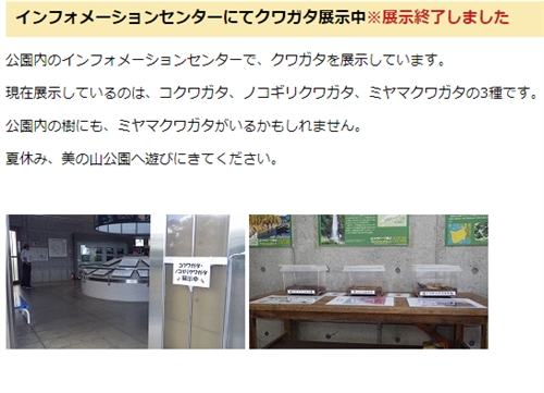 ミヤマクワガタ・カブトムシ採集 埼玉