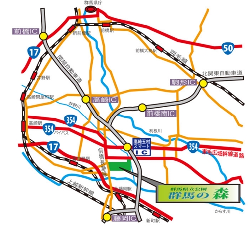 群馬の森でカブトムシ採集&クワガタ採集