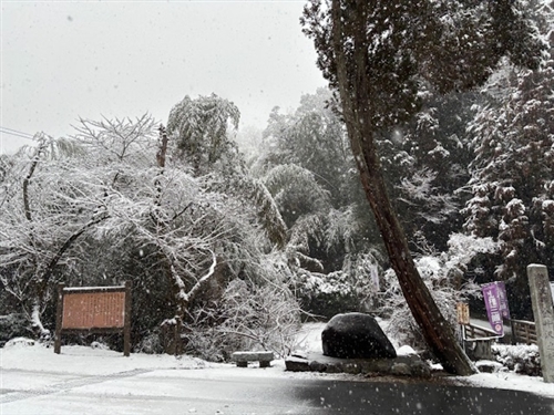 群馬県高崎市のカブトムシスポットに行ってきました