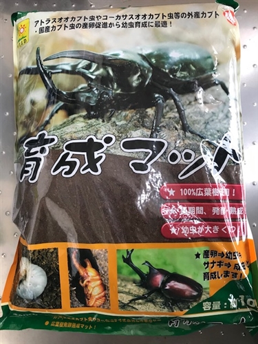 育成マットとカブト1番はどっちが良い?
