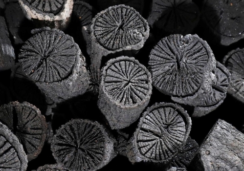 兵庫県のオオクワガタ採集とカブトムシポイント