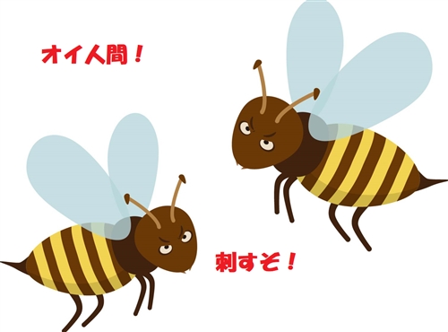 蜂に刺されたら 対処 ムヒ