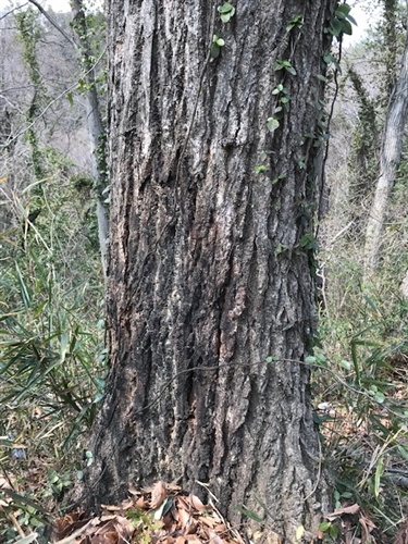 ブログvol.831〜840