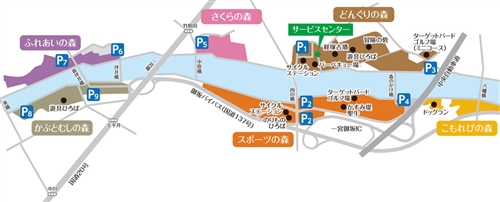 山梨県の金川の森でカブトムシ、クワガタ採集